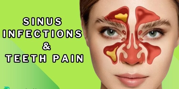 Sinus Infections and Teeth Pain