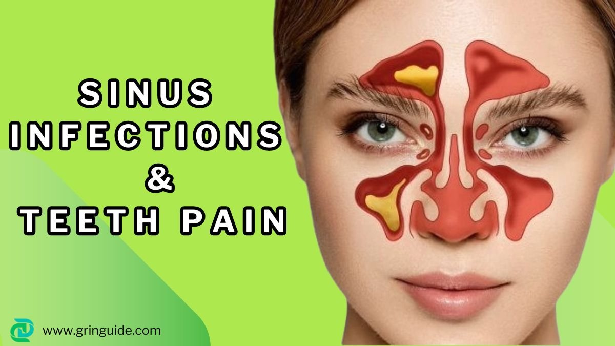 Sinus Infections and Teeth Pain: A Comprehensive Guide 2024